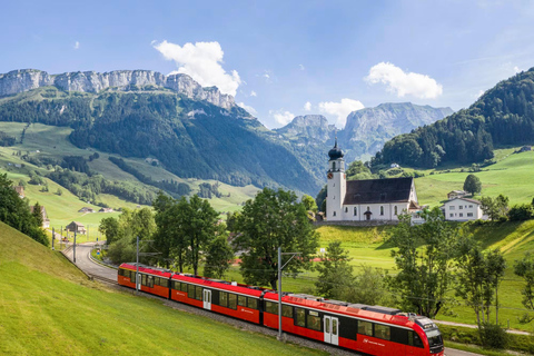 Train to Abbey Library & Appenzell: Culture, Cheese & Views Including all Tickets