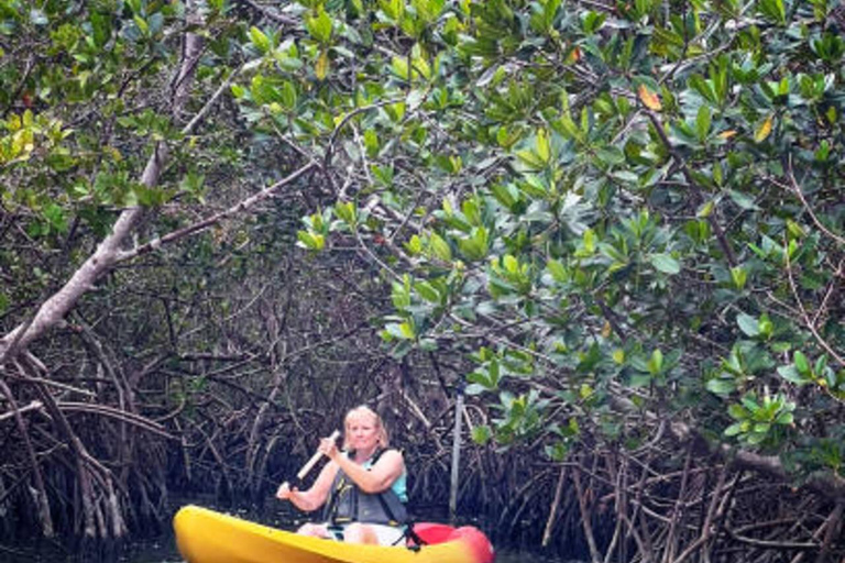 Zanzibar: wizyta w Stone Town i wycieczka kajakiem po lesie namorzynowym