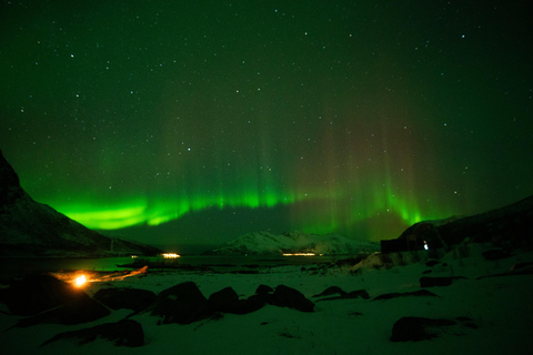 Tromsø: Northern Lights Tour with Local guide & Local Food