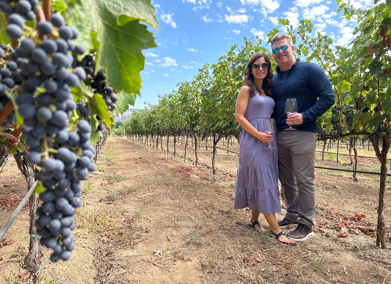 Napa Valley: guidet vintur med picnicfrokost