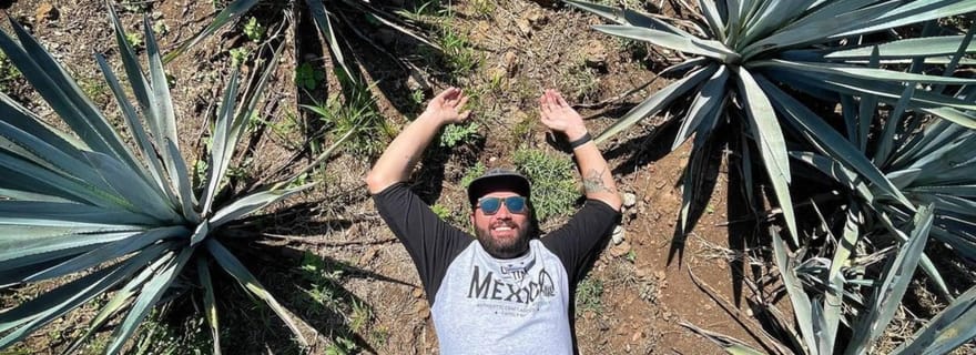 Aventure privée à la Tequila et à la distillerie La Fortaleza