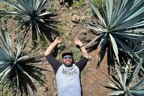 Prywatna wycieczka do destylarni Tequila i la Fortaleza