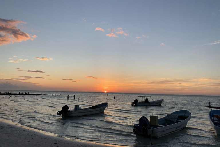 Cancun: Holbox plus Island, Punta Mosquito Trip with Lunch