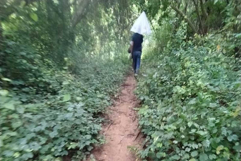 Barranquilla: Caminata en los bosque de bajo obstion-juaruco