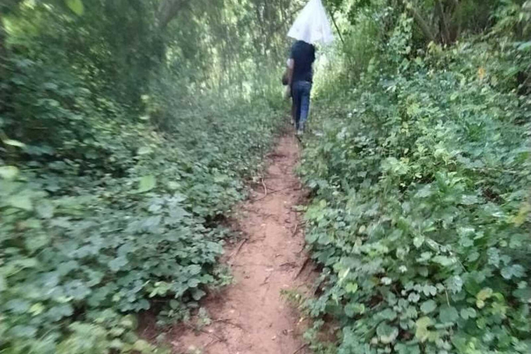 Barranquilla: Caminhada nos bosques baixos de obstion-juaruco