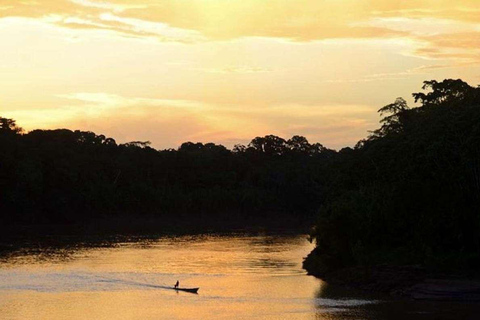 Tambopata: Search for Caimans in the Amazon | Night Tour |