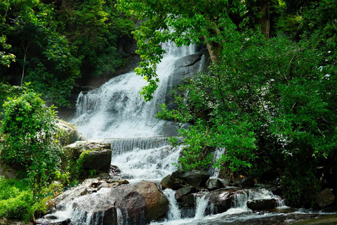 Kochi: Höhlen, Wasserfälle und Aussichtspunkt – TagestourTagestour in der Natur von Kochi: Höhlen, Wasserfälle und Aussichtspunkt
