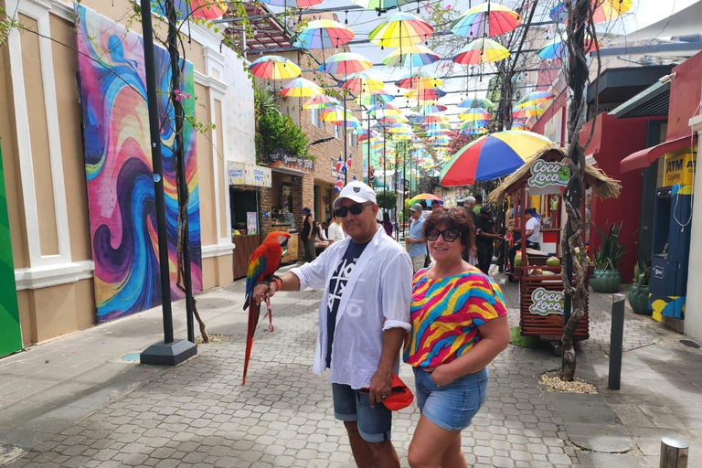 Puerto Plata: Monkey home, Damajagua Waterfalls & City Tour