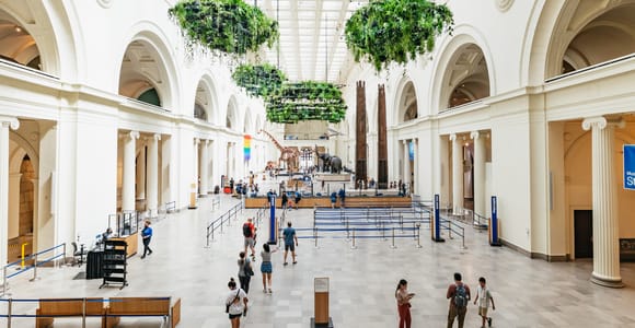 Chicago: Field Museum of Natural History Ticket oder VIP Tour