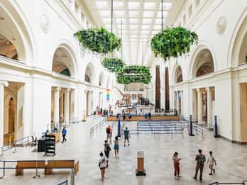Chicago : Field Museum of Natural History Billet ou visite VIP