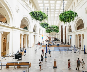 Chicago Field Doğa Tarihi Müzesi Bileti veya VIP Turu