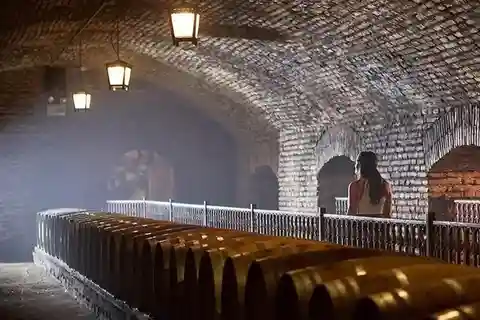 Experiência de vinho exclusiva Marqués de Casa Concha