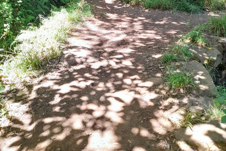 Levada Serra do Faial, Camacha