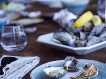 Degustazione guidata di ostriche