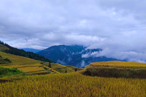Longji Terraces Tour with Yao Show and Bamboo Chicken Lunch