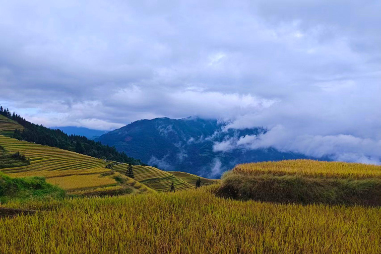 Longji Terraces Tour with Yao Show and Bamboo Chicken Lunch