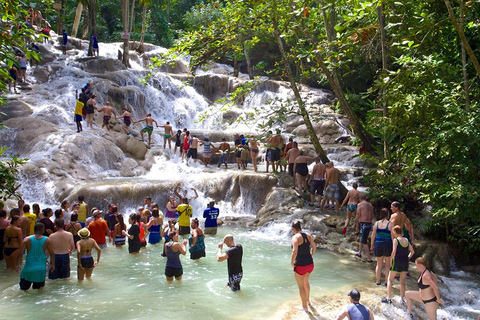 Bob Marley Mausoleum & Dunn’s River Falls Private Tour