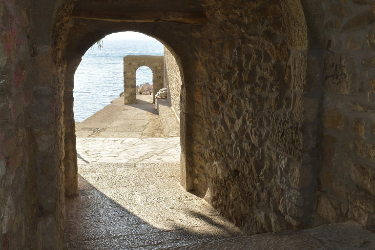 Epidaurus, Mycenae och Nafplio: Privat tur från Aten