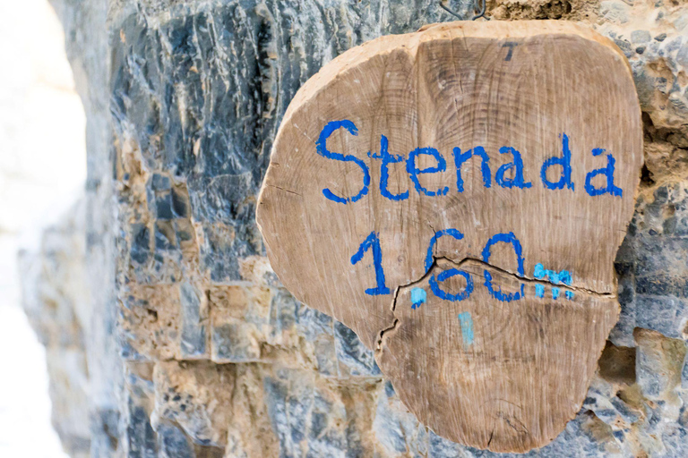 Au départ de La Canée : randonnée et baignade dans les gorges d&#039;Imbros et à Sfakia (journée)