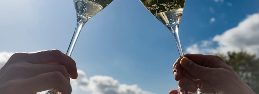 Au départ d'Epernay : Bubble Champagne Tour 6 dégustations