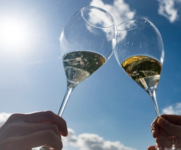 From Epernay : Bubble Champagne Tour 6 tastings