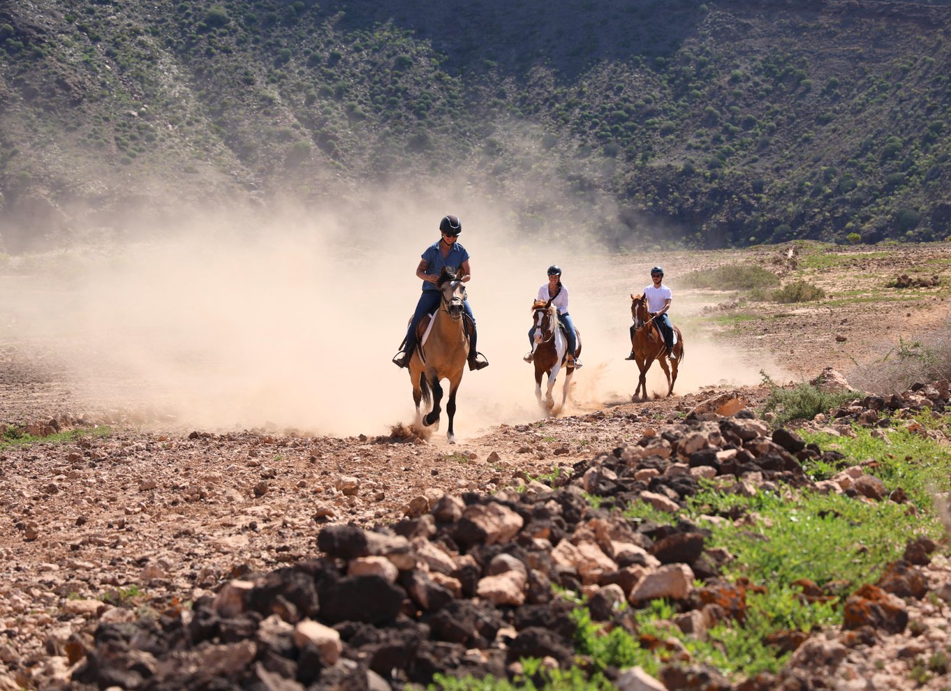 Gran Canaria: Ridning på vulkanske stier og muligheder for transport