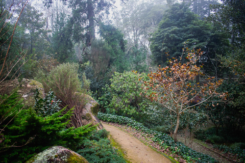 Sintra: Moorish Castle Guided Tour