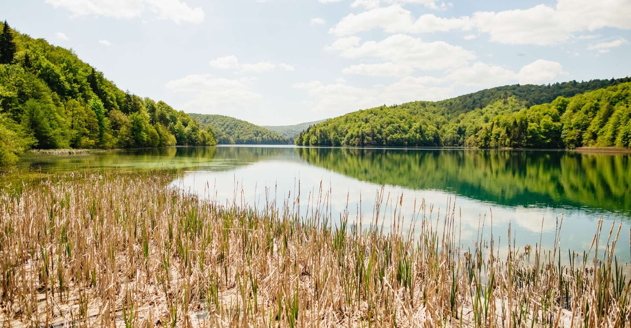 From Split or Trogir, Plitvice Lakes Tour with Entry Tickets - Housity
