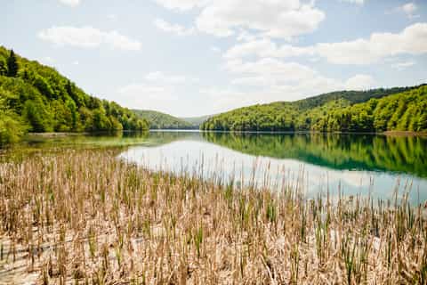 From Split or Trogir: Plitvice Lakes Tour with Entry Tickets