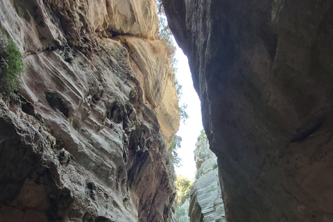 “Paphos Private Tour: Akamas, Avakas, Turtle Bay & Winery”