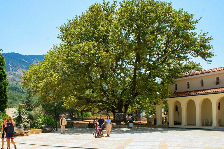 Kefalonia Half-Day Boat Tour