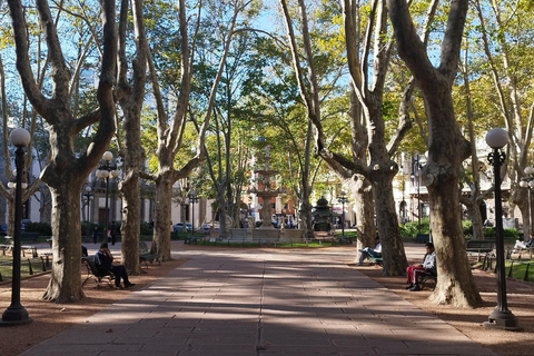 Montevideo from Buenos Aires -Unique Private Tour ExperienceMontevideo from Buenos Aires - Unique Day Tour Experience