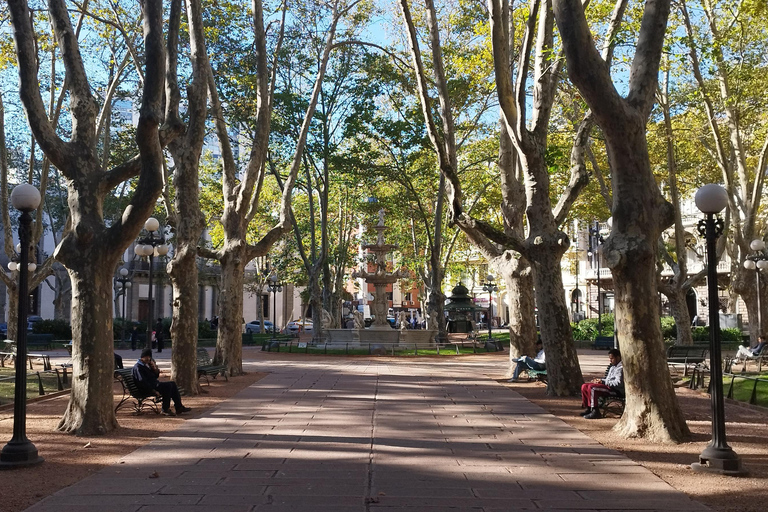 Montevideo from Buenos Aires -Unique Private Tour ExperienceMontevideo from Buenos Aires - Unique Day Tour Experience