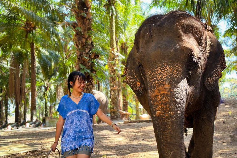 Krabi Mangrove Kayak &Elephant Shelter with Private Transfer Krabi: Mangrove Kayak&Elephant Shelter with Private Transfer