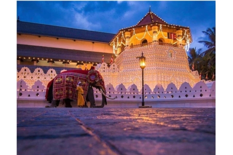 Excursión en Tuk Tuk por la ciudad de Kandy: Descubre las maravillas culturales y