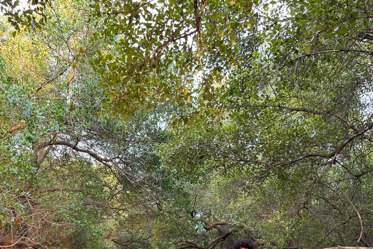 Passeio de caiaque em águas remotas