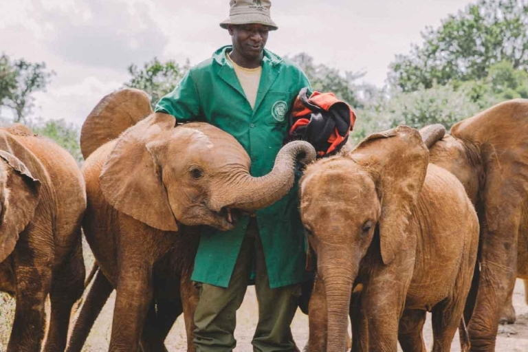 Elefantenbaby, Giraffe Center, Kazuri Bead & Bomas of Kenya