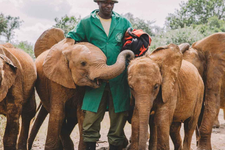 Nairobi: Giraffe Center, Elephant Orphanage, and Beads Tour