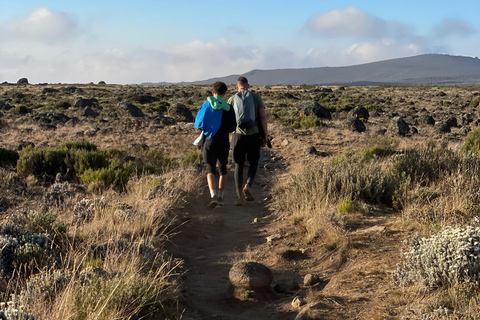 Ngorongoro Crater Day Trip with Picnic Lunch