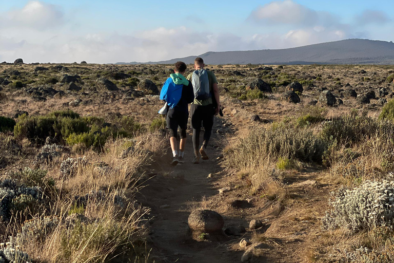 Ngorongoro Crater Day Trip with Picnic Lunch