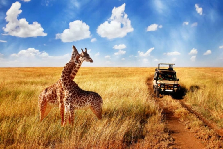 5-daagse Tanzania-safari