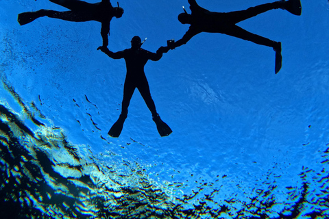 Reykjavik Combo: Horse Riding & Snorkeling in Silfra Fissure