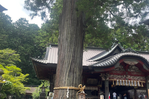 4-Daagse privétour Mt Fuji, Hakone, Nikko en Tokio.