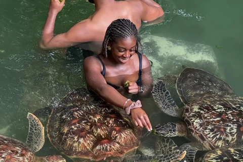 ZANZIBAR: Sea Turtle Swimming & Feeding Experience in NUNGWI