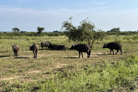 Kasese: 3 Day Queen Elizabeth Classic Safari & Boat Safari