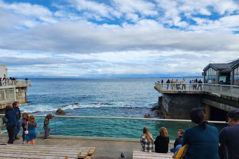 Tour privato Monterey, Acquario, 17 miglia di strada, Carmel