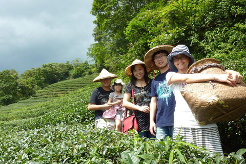 From Taipei: Maokong Gondola & Tea Culture Day Tour
