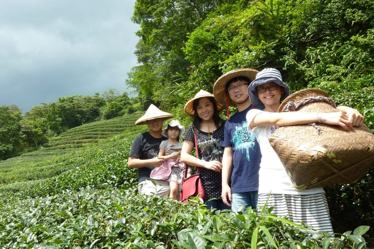 From Taipei: Maokong Gondola & Tea Culture Day Tour