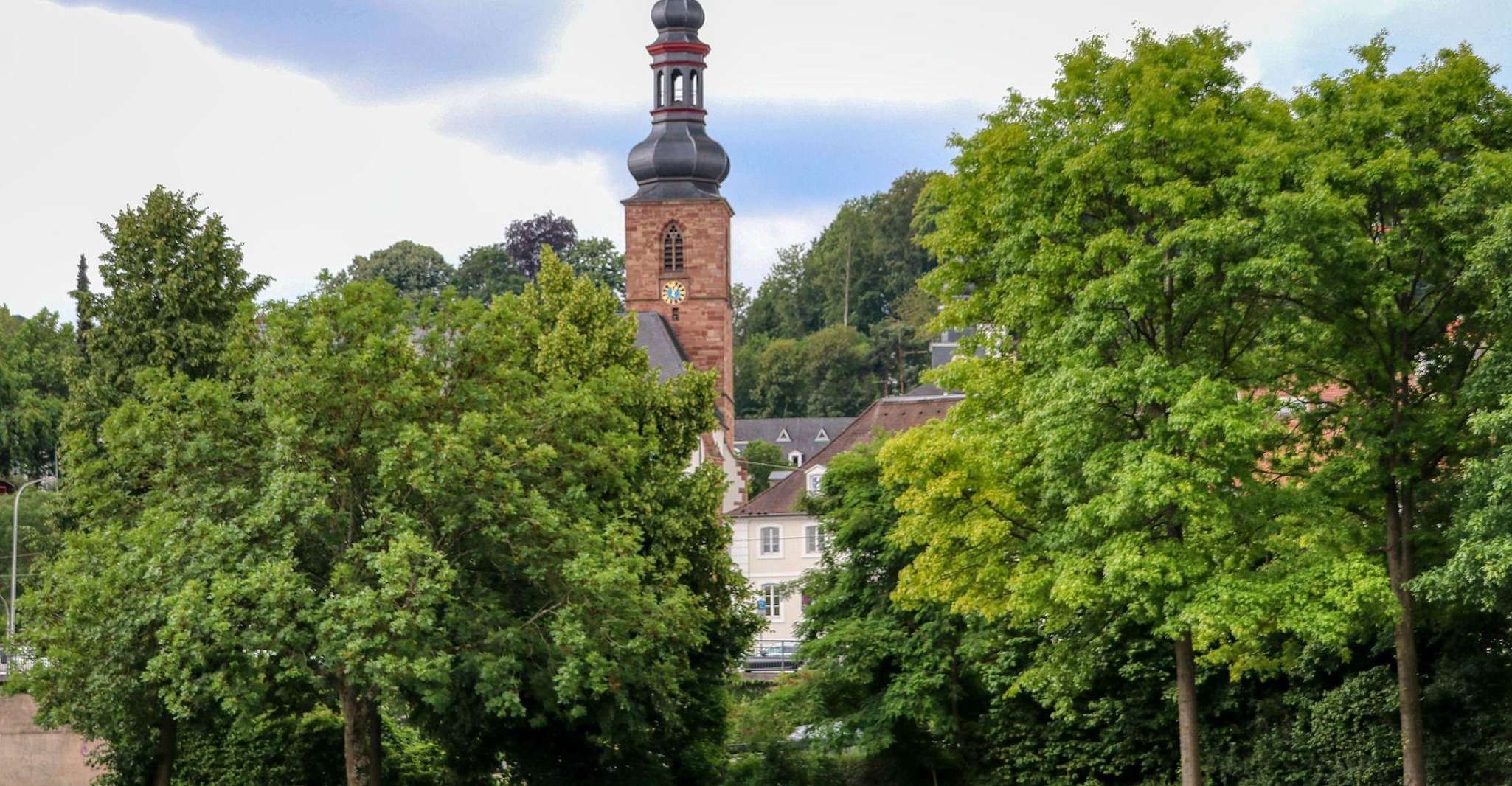 Saarbrücken Private Guided Walking Tour - Housity