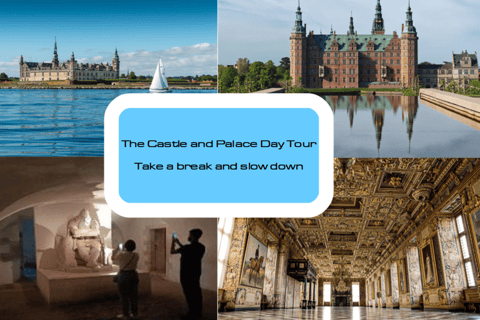 Speciale dagtour met cruise; voor laat arriveren en vroeg vertrekkenCruise Special Paleis, Kathedraal &amp; Vikingschip Late aankomst